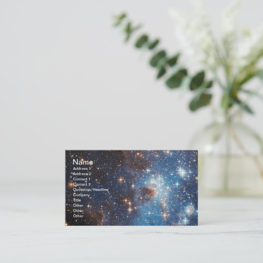 LH 95星形成領域NASA 名刺 (スタンド正面)