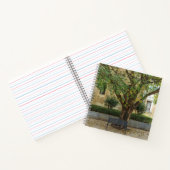 Li Garden Series: Echoes Beneath the Tree ノートブック (内部)