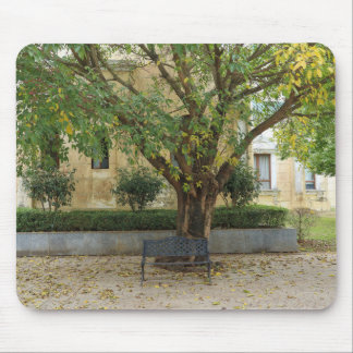 Li Garden Series: Echoes Beneath the Tree マウスパッド
