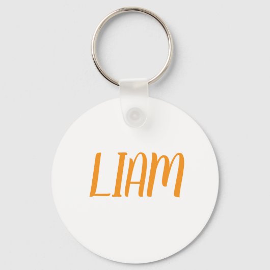 Liam name Metal ring keychain キーホルダー (裏面)