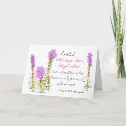 Liatris Blank Card サンキューカード (正面)