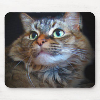 libby猫のmousepad マウスパッド