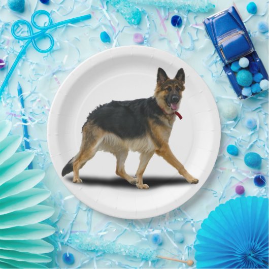 LIBBY ペーパープレート (パーティー)