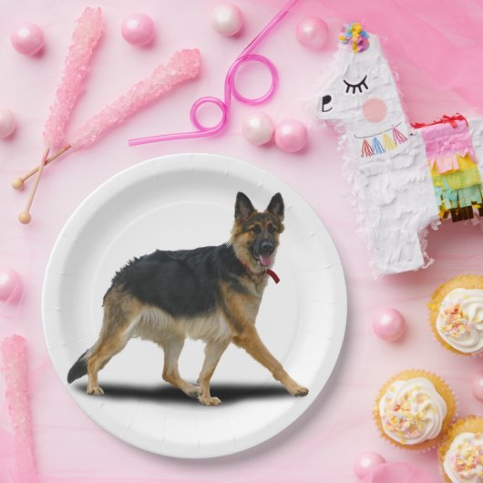 LIBBY ペーパープレート (パーティー)