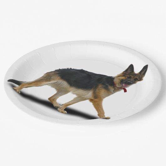 LIBBY ペーパープレート (アングル)