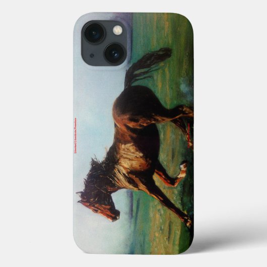 Libertad/Liberdade/Freedom Case-Mate iPhoneケース (裏面)