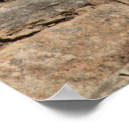 Library Of Ephesus Ruins ポスター (角)