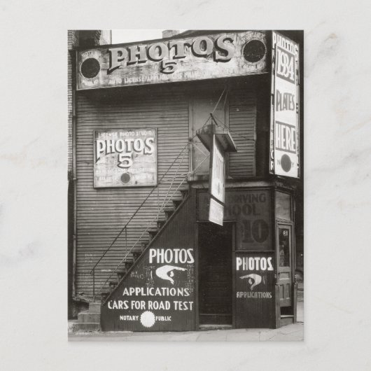 License Photo Studio, 1934 ポストカード (正面)