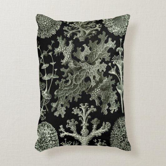 Lichen by Ernst Haeckel、ヴィンテージ自然工場 アクセントクッション (正面(垂直))