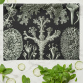 Lichen by Ernst Haeckel、ヴィンテージ自然工場 キッチンタオル (折り畳み)