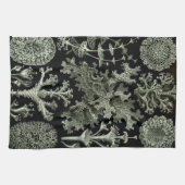Lichen by Ernst Haeckel、ヴィンテージ自然工場 キッチンタオル (横)