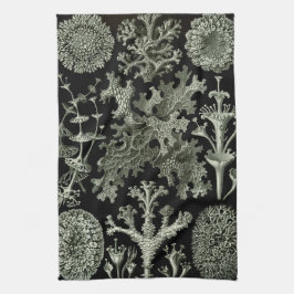 Lichen by Ernst Haeckel、ヴィンテージ自然工場 キッチンタオル