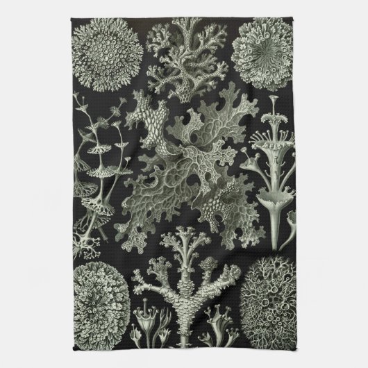 Lichen by Ernst Haeckel、ヴィンテージ自然工場 キッチンタオル (縦)