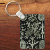 Lichen by Ernst Haeckel、ヴィンテージ自然工場 キーホルダー (正面)