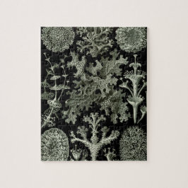 Lichen by Ernst Haeckel、ヴィンテージ自然工場 ジグソーパズル
