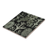 Lichen by Ernst Haeckel、ヴィンテージ自然工場 タイル (側面)