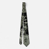 Lichen by Ernst Haeckel、ヴィンテージ自然工場 ネクタイ (裏面)