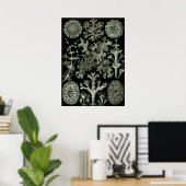 Lichen by Ernst Haeckel、ヴィンテージ自然工場 ポスター (ホームオフィス)
