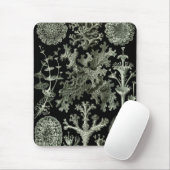 Lichen by Ernst Haeckel、ヴィンテージ自然工場 マウスパッド (マウス)