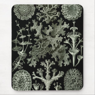 Lichen by Ernst Haeckel、ヴィンテージ自然工場 マウスパッド