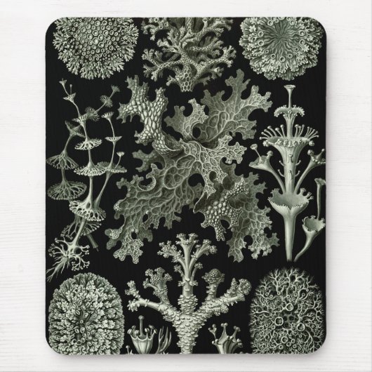 Lichen by Ernst Haeckel、ヴィンテージ自然工場 マウスパッド (正面)