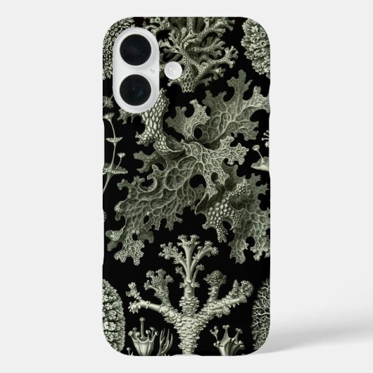 Lichen by Ernst Haeckel、ヴィンテージ自然工場 Case-Mate iPhoneケース (裏面)