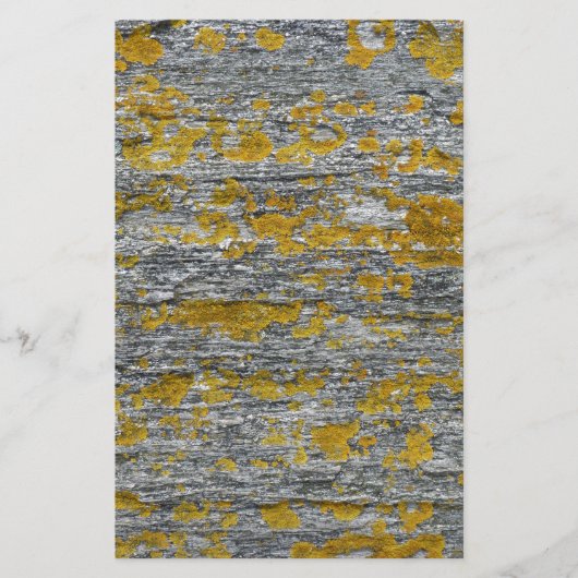 Lichens sur pierre de granit 便箋 (正面)