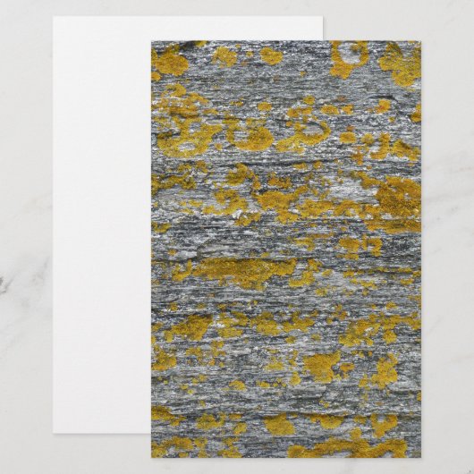 Lichens sur pierre de granit 便箋 (正面/裏面)