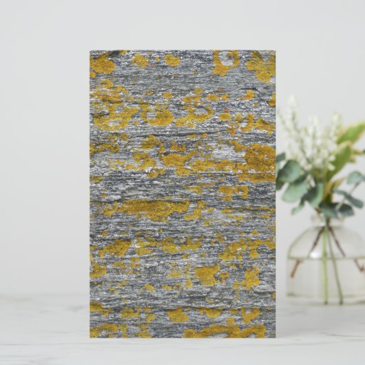 Lichens sur pierre de granit 便箋 (スタンド正面)