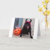 Lickerの御馳走 カード (黄色い花)