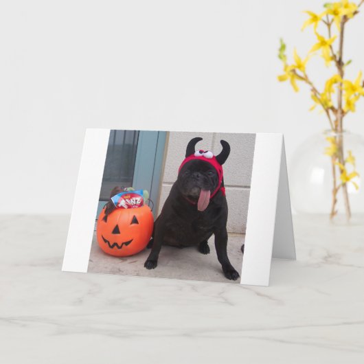 Lickerの御馳走 カード (黄色い花)