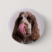 Licking Cocker Spaniel Pin Badge 缶バッジ (正面)