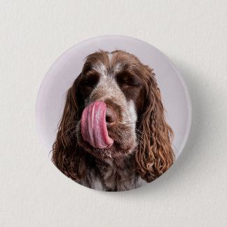 Licking Cocker Spaniel Pin Badge 缶バッジ