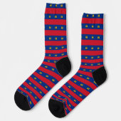 Liechtenstein Socks, patriotic Flag fashion ソックス (左)