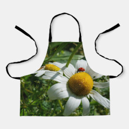 Lieveheersbeestje op margriet in de natuur. エプロン