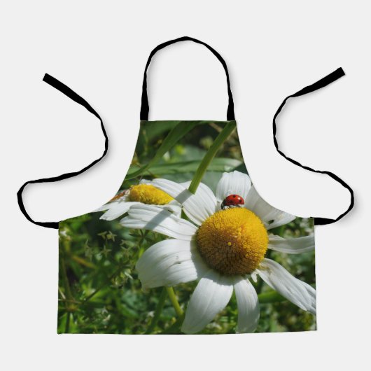 Lieveheersbeestje op margriet in de natuur. エプロン (正面)