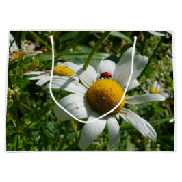 Lieveheersbeestje op margriet in de natuur. ラージペーパーバッグ