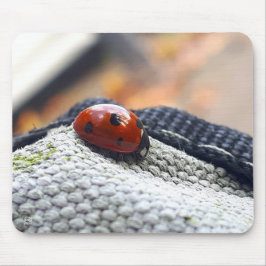 Lieveheersbeestje symbool tegen geweld. マウスパッド