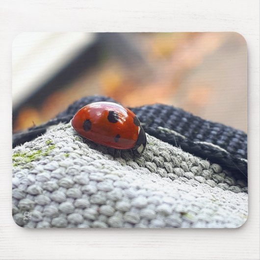 Lieveheersbeestje symbool tegen geweld. マウスパッド (正面)