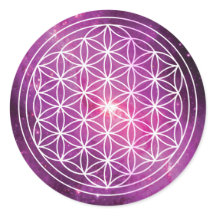 LIfeピンク銀河系