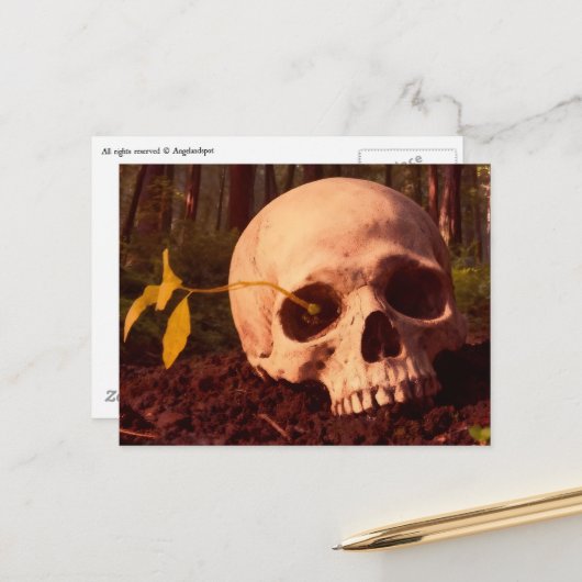 Life and Death ポストカード (正面/裏面インサイチュ)