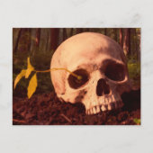 Life and Death ポストカード (正面)