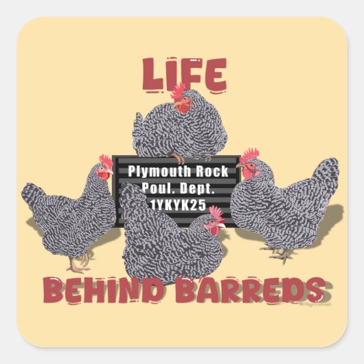 Life Behind Barreds (Barred Plymouth Rock Hens) スクエアシール (正面)