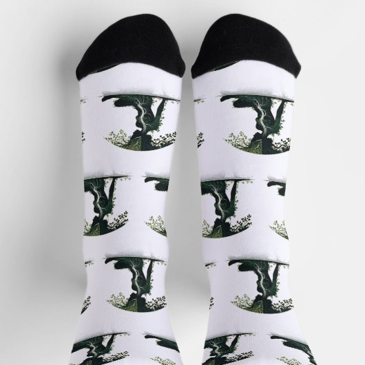 Life & Growth ソックス (上部)