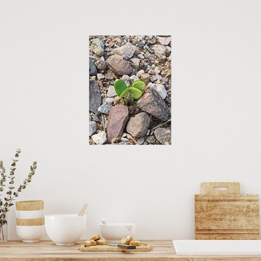 Life in the Rocks写真 ポスター (キッチン)