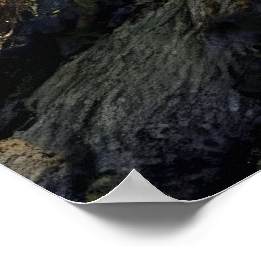 Life in the Valley of Giants ポスター (角)