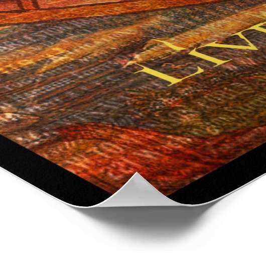 Life is in our stars ポスター (角)