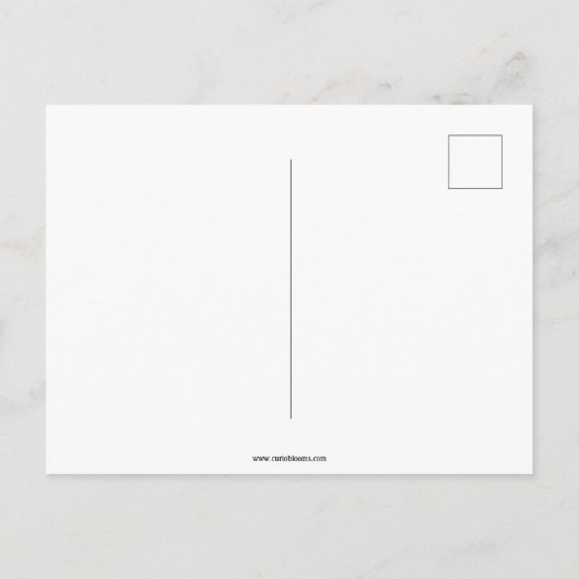 Life Is Like a Box of Chocolates ポストカード (裏面)