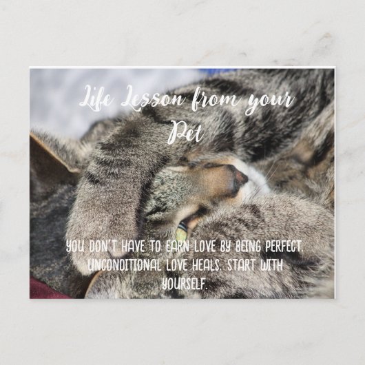 Life Lesson from your Pet Motivational シーズンポストカード (正面)