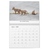 Life Lessons Animal Calendar カレンダー (3月 2027)